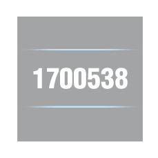 The 1700538 Cable USB to Serial Port 6 feet.
