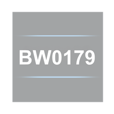 The BW0179 is a RW-30X/RW-31X Current leads Extension Kit, Right angle, 12', 4mm plugs.