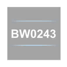 The BW0243 is a RW-30X/RW-31X Basic Cable Set with 4mm Right Angle Plugs.