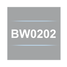 The BW0202 is a RW-30X/RW-31X Voltage Leads Extension Kit, 25', 2mm plugs.