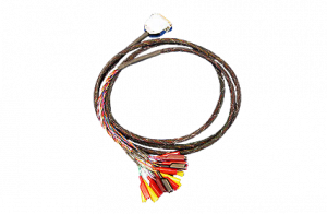 AW0022/AW0025/AW0029/AA0029: RW-30X/RW-31X Advanced I/O KYZ Breakout Cable (8', 12', 18", & 18') on a transparent background.